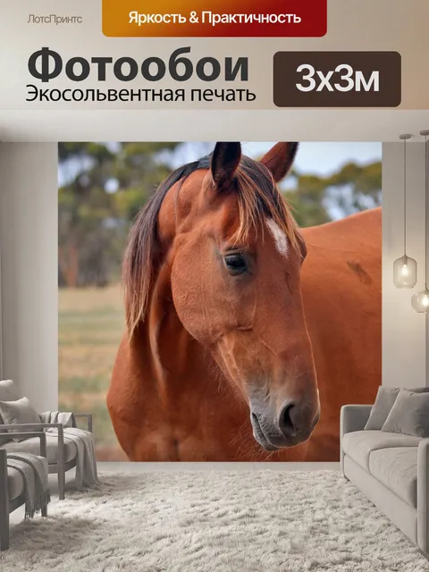 Фотообои Лошади