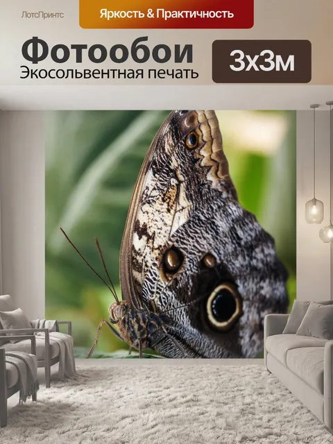 Фотообои Бабочка