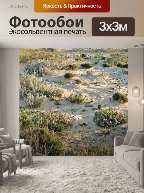 Фотообои Растения песка