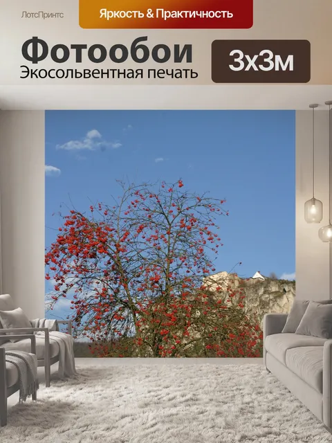 Фотообои Осеннее настроение