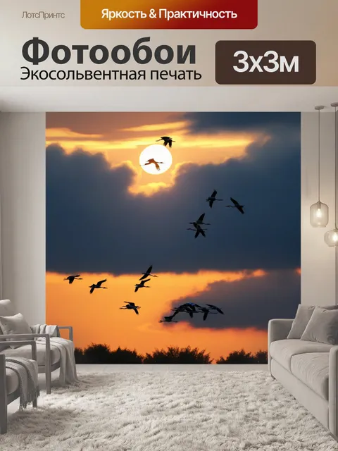 Фотообои небо с лучами заката и летающими аистами