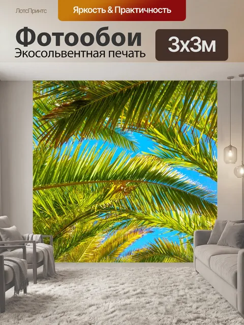 Фотообои Пальмовых листьев деревьев