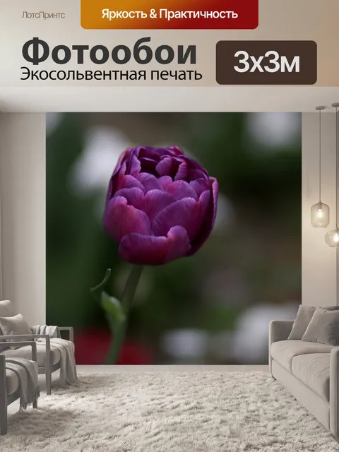 Фотообои Тюльпан