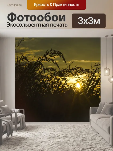 Фотообои Рассвет