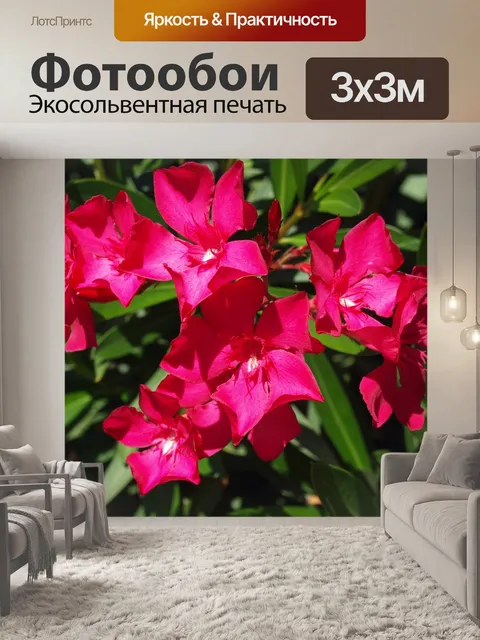 Фотообои Цветы