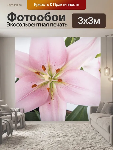 Фотообои Лилии Цветы