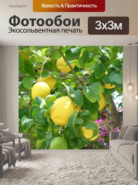 Фотообои Лимоны