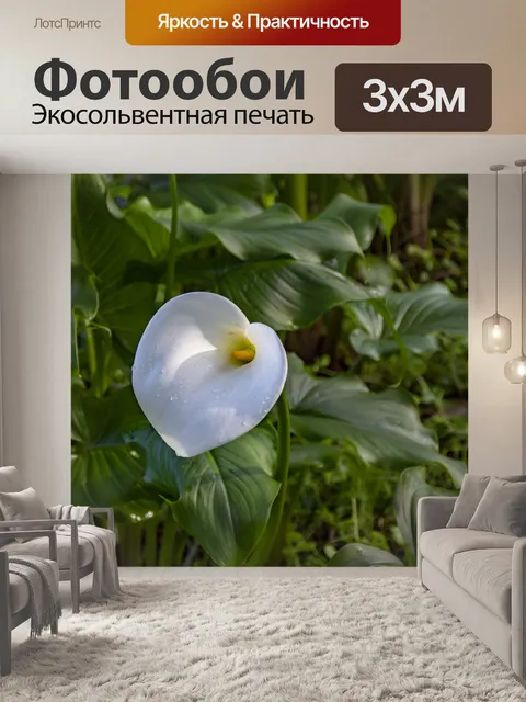 Фотообои белая лилия