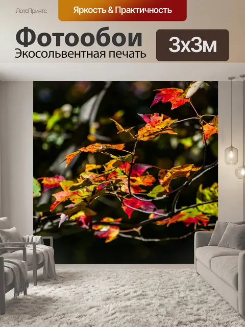 Фотообои Осенние листья