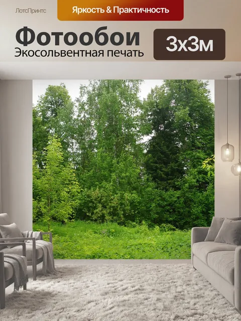 Фотообои Лес