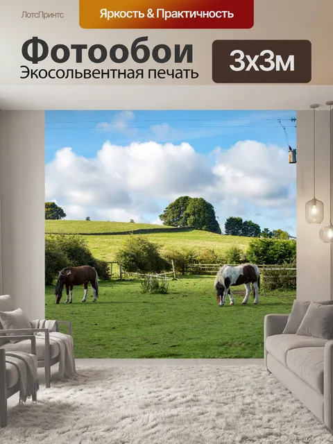 Фотообои лошадь