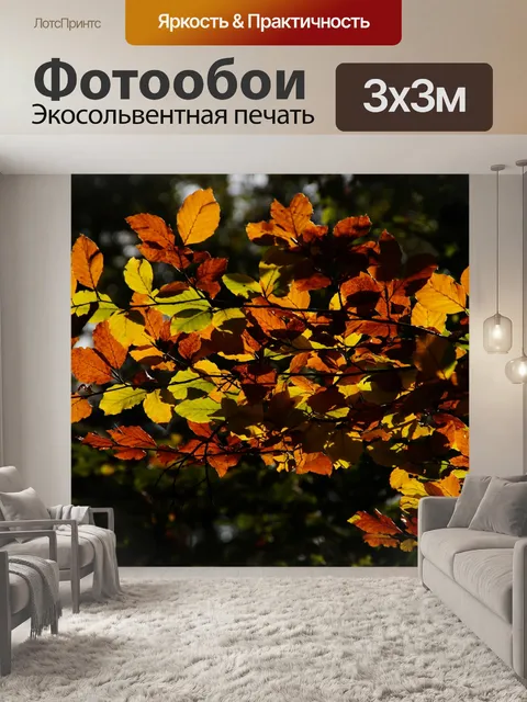 Фотообои Осенние листья ветка дерева лес
