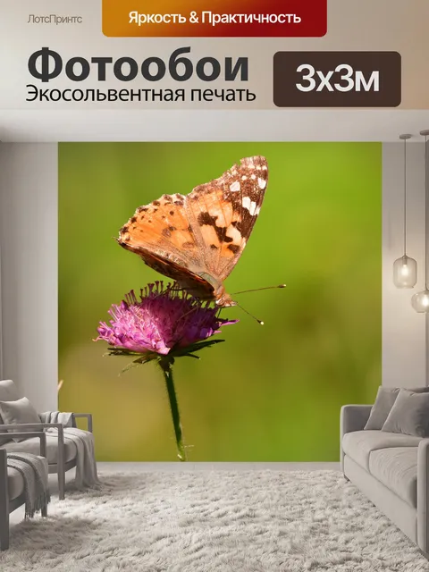 Фотообои Бабочка