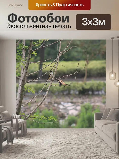 Фотообои Природа