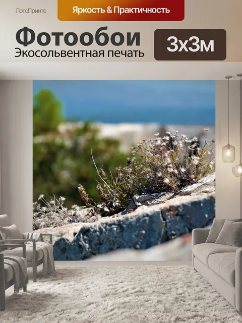 Фотообои Цветок