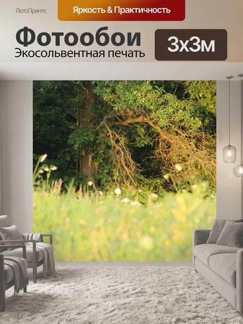 Фотообои Деревья