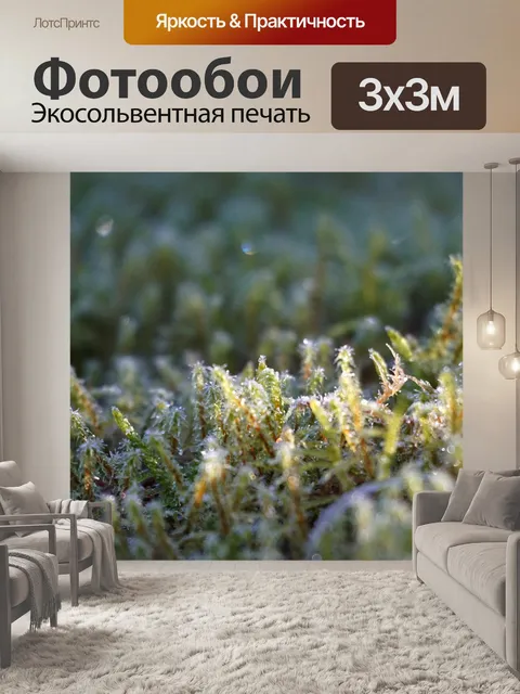 Фотообои Мох