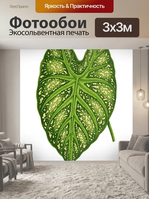 Фотообои Листва лист растение прозрачный