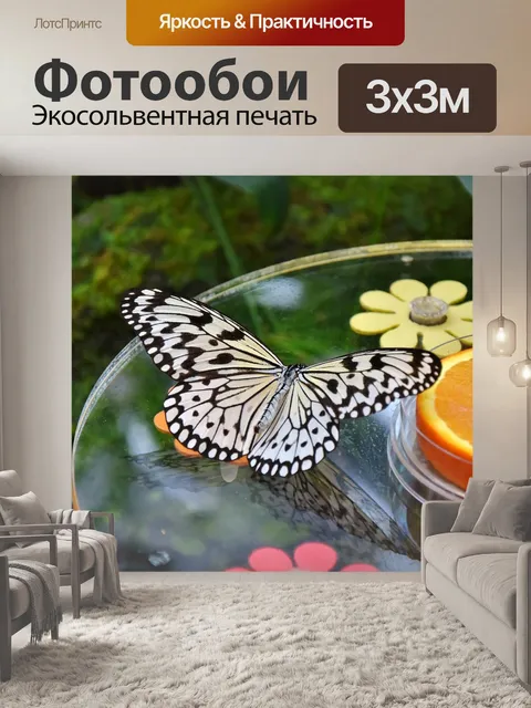 Фотообои Бабочка