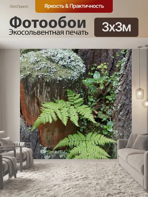 Фотообои Лес