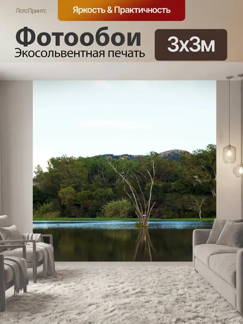 Фотообои плотина с деревьями и холмом
