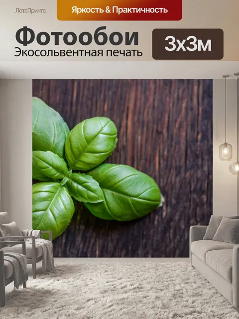 Фотообои базилик, лист, трава