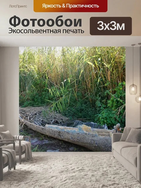 Фотообои Гребная лодка