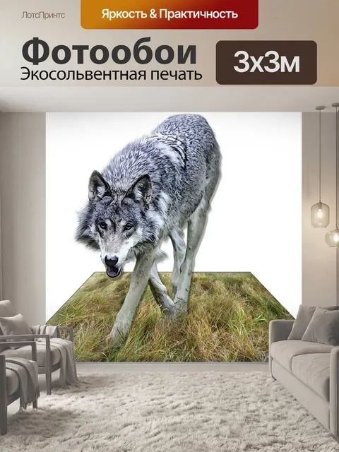 Фотообои волк ходьба 3d