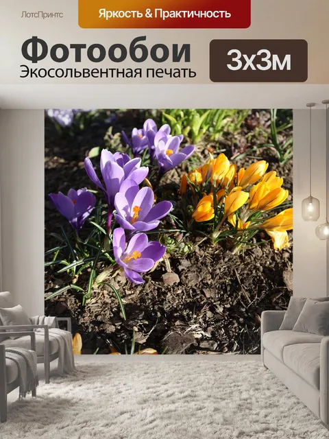 Фотообои Flower