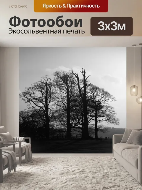 Фотообои Деревья без листьев