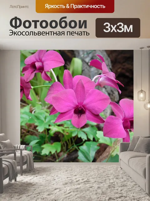 Фотообои Цветок