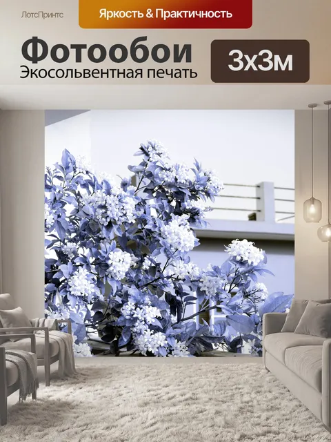 Фотообои Муррая 2