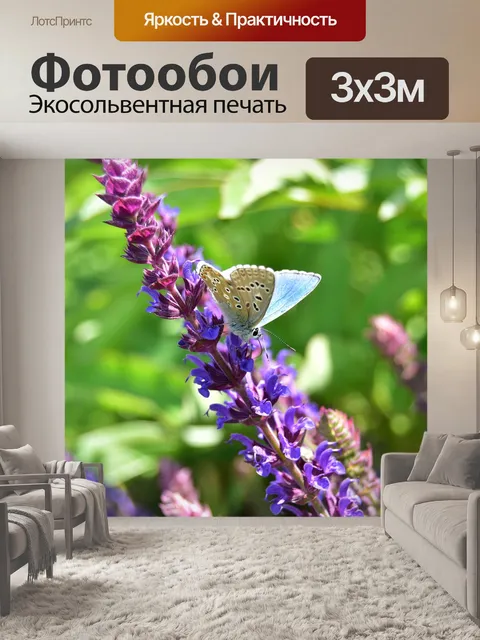 Фотообои Бабочка