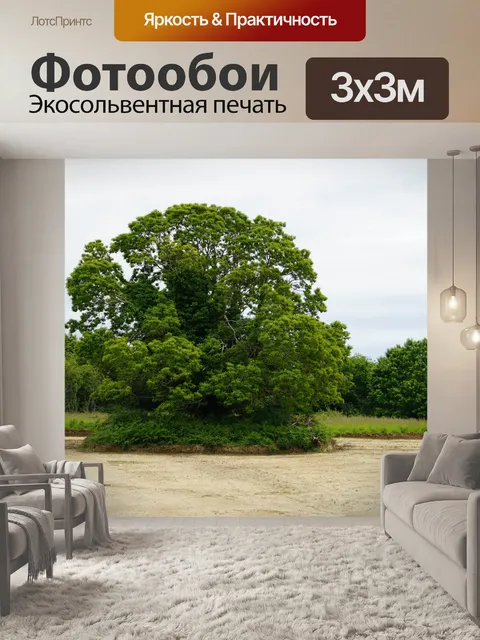 Фотообои Одинокое дерево