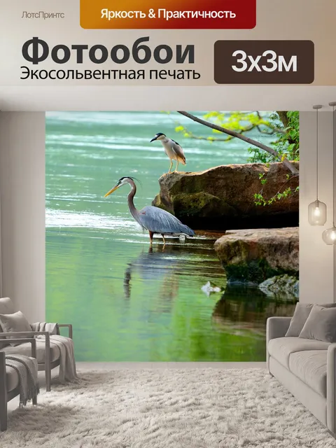 Фотообои Большие голубые цапли