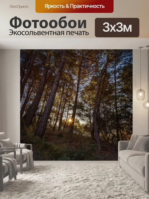 Фотообои Лес