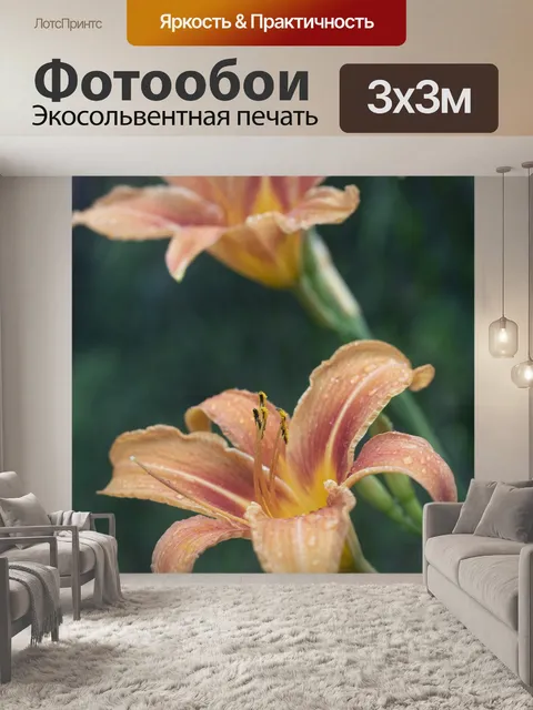 Фотообои Лилии
