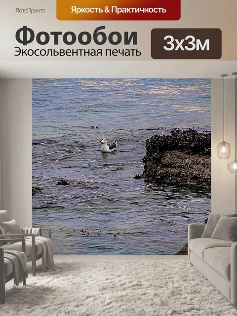 Фотообои Чайка
