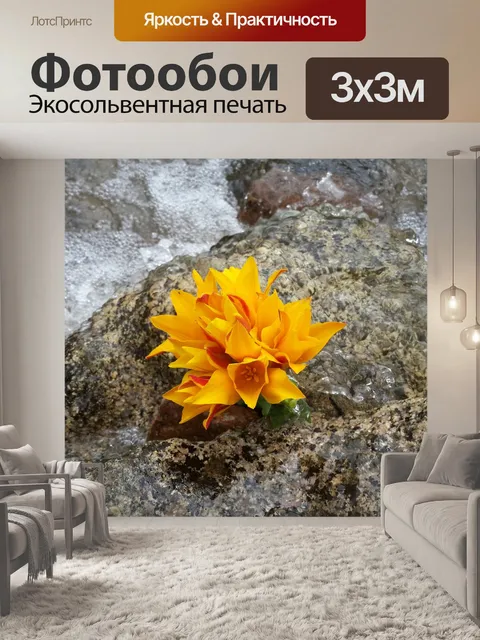 Фотообои Цветок