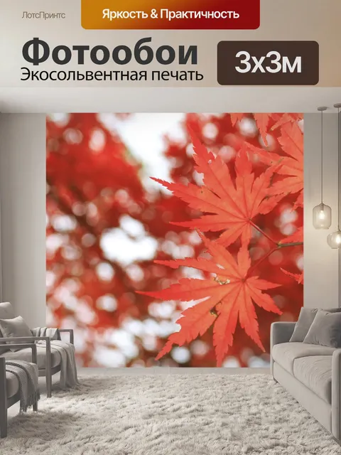 Фотообои Осенние листья