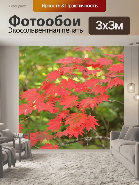 Фотообои Листья