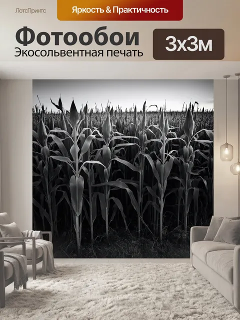 Фотообои поле черных и белых кукуруз с высокой травой, где сумерки создают загадочную атмосферу