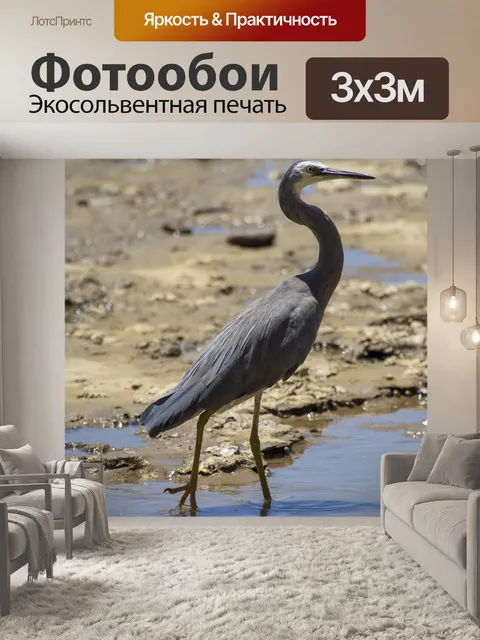 Фотообои Птица