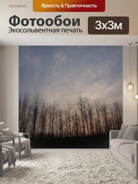 Фотообои Пейзаж