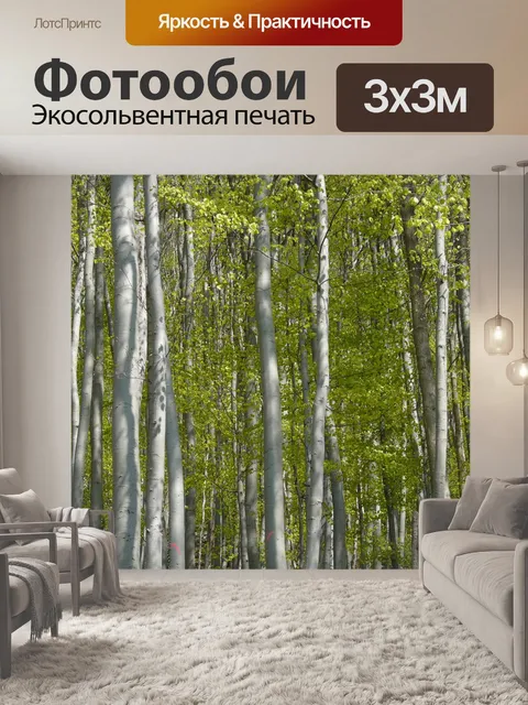 Фотообои Лес