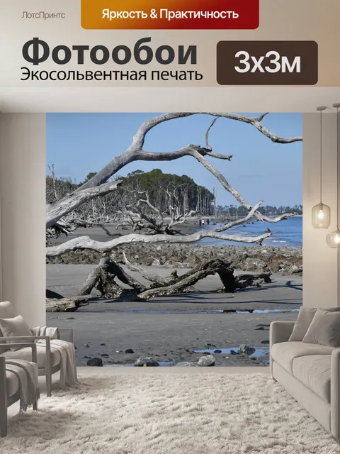 Фотообои Пляж Дрифвуд