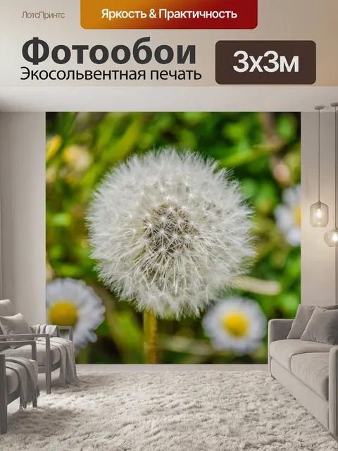 Фотообои Одуванчик