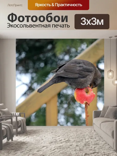 Фотообои Птица