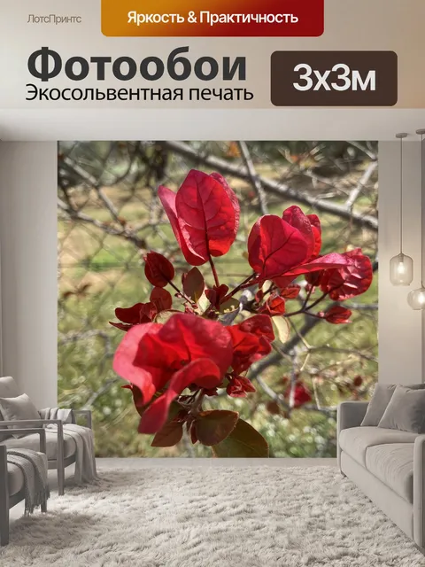 Фотообои Пейзаж