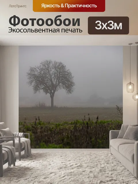 Фотообои Туман